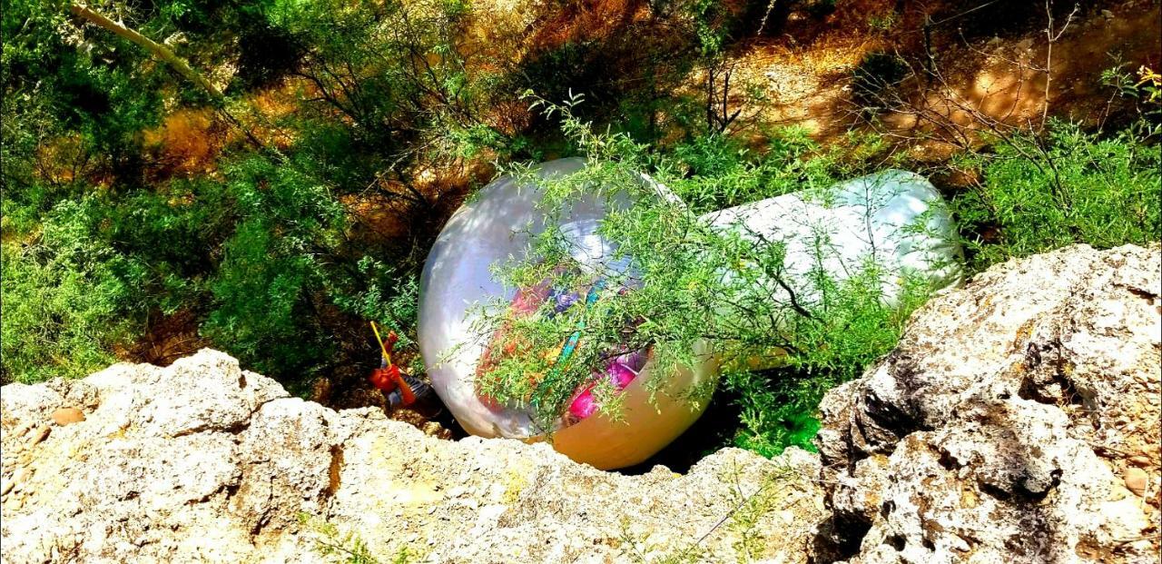 Cave, Yurt, Bubble And Other Glamping Adventures Hotell Sedona Exteriör bild