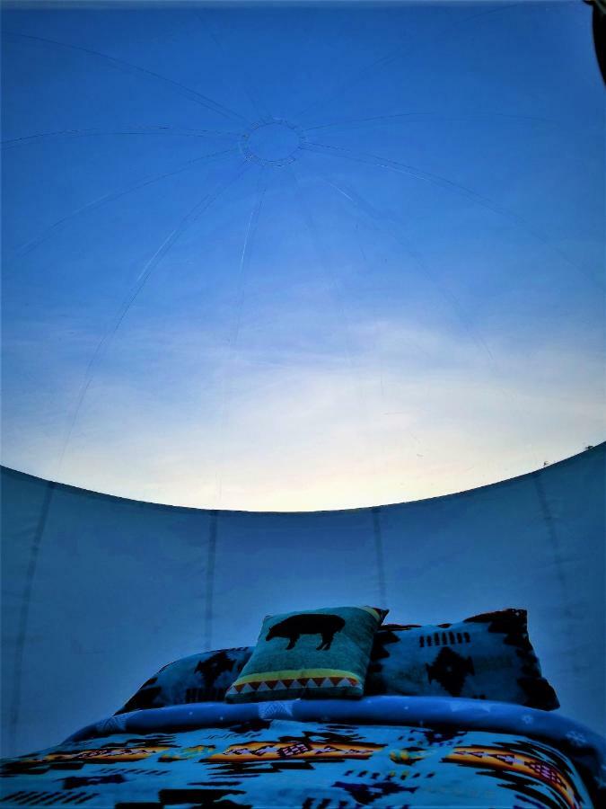 Cave, Yurt, Bubble And Other Glamping Adventures Hotell Sedona Exteriör bild