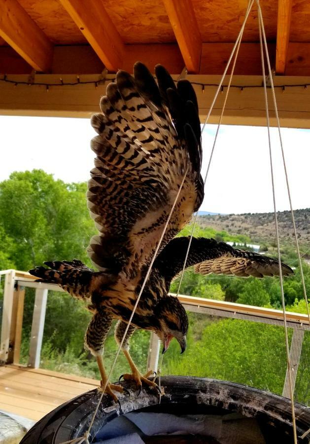 Cave, Yurt, Bubble And Other Glamping Adventures Hotell Sedona Exteriör bild